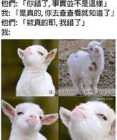 https://images.plurk.com/4tsXUZC8jrjjugJQvvpxS8.jpg