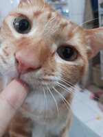 https://images.plurk.com/4ttDz2ArL9SGR3QRYtMnKj.jpg