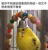 https://images.plurk.com/4tvRMTyyypwhjFIjuKqcRu.jpg
