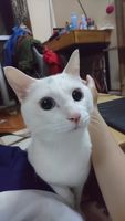 https://images.plurk.com/4u5kl0bnahDTC2eMjSFz.jpg