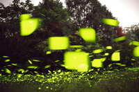 https://images.plurk.com/4uBi29GCnd8gdgfp4kDpEA.jpg