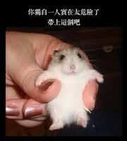 https://images.plurk.com/4uE6qwXEDBd8OnmVw2Lpdo.jpg