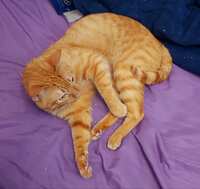 https://images.plurk.com/4uGZ45bq7VzvAmmsJzq5Q2.jpg