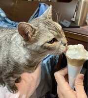 https://images.plurk.com/4uPbmrXO6tJBMGvDZdm8Xe.jpg