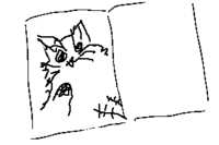 https://images.plurk.com/4uZihVtMjSdPIludpmZFqm.png