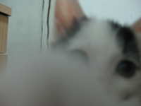 https://images.plurk.com/4ucJ5d75xZwvXndala7Yhs.jpg