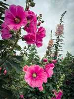 https://images.plurk.com/4ucSGtnKp6Pa6xWWwYdYby.jpg