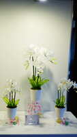 https://images.plurk.com/4uewNMDhoUSMyA8JT7LflD.jpg