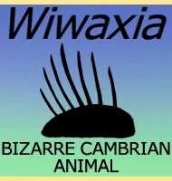 https://images.plurk.com/4ukwlf37exQWTbNesA4Yk3.jpg