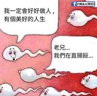 https://images.plurk.com/4umABLdvCIK1yWQ5dQdz4g.jpg