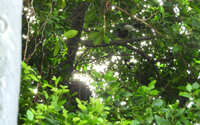 https://images.plurk.com/4uwjiZkKUciW8Fy8MGWnC7.jpg