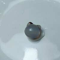 https://images.plurk.com/4v5n0FO9O3BVT45S98b6sQ.jpg