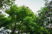 https://images.plurk.com/4v9gcLBDvRzTc0BIkmuPbw.jpg