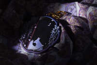 https://images.plurk.com/4vGY1v2GBHX6ckFXtKpjxv.jpg