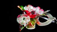 https://images.plurk.com/4vJDE668zgI0FpbC71iLk7.jpg