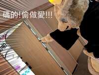 https://images.plurk.com/4vKhmHwtdcbH1bOMtv6mSv.jpg