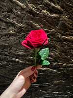 https://images.plurk.com/4vLYVPH5sP5vxMwJPpxc2r.jpg