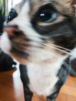 https://images.plurk.com/4vMD57JwPqplV7qH2Kl6Mc.jpg