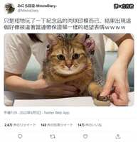 https://images.plurk.com/4vTya30EnEguBahy4tn5tQ.jpg