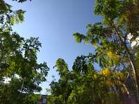 https://images.plurk.com/4vWgSHZB1c9ZpFTdmKoG0G.jpg
