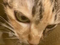 https://images.plurk.com/4vY0Bm1JGqDYScsbapw2ws.jpg