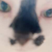 https://images.plurk.com/4vdCkKVRiUuQuBuVuhswso.jpg