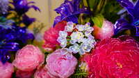 https://images.plurk.com/4vhFGtKE2V5YiHKG9qmX8L.jpg