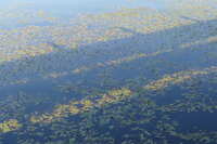 https://images.plurk.com/4vhgsdBavADvx5Oso42WLn.jpg