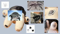 https://images.plurk.com/4vvmWARqCFHTYiMcOkmNON.jpg
