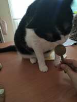 https://images.plurk.com/4vyxedWQLarEMcaZDVz9NL.jpg