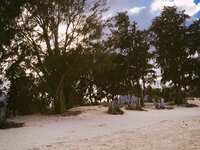 https://images.plurk.com/4w4f07d8ptdNe7eJkWL4uc.jpg