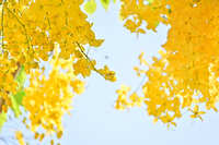 https://images.plurk.com/4w9cdk1YMYtpv5uO8prsLC.jpg