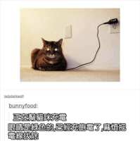 https://images.plurk.com/4wFl8hS3eqzZUAJ6YA924e.png