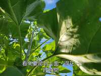 https://images.plurk.com/4wG9kPXGsIy1hh8t7uHuqY.jpg