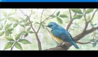 https://images.plurk.com/4wNWewMBgVeF1TYNcnroTP.png