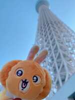 https://images.plurk.com/4wPhjhAOn0WV41MWASz2wW.jpg