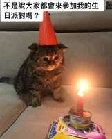 https://images.plurk.com/4wTuPZK99PbXNdYXFV8u8w.jpg