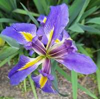 https://images.plurk.com/4wXaazL4xsMHgdUeNJmKmP.jpg