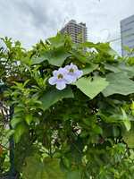 https://images.plurk.com/4wZOnnfn4jWCBAYFH27467.jpg
