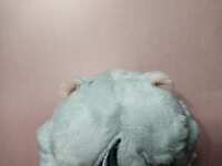 https://images.plurk.com/4wZjYWrNAVPZgfo6tyhzd9.jpg