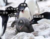 https://images.plurk.com/4wg39NsYGURC1e4VyPG1S7.png