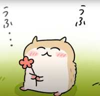 https://images.plurk.com/4wh4PLikIi59XXjYnCMTvm.jpg