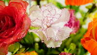 https://images.plurk.com/4wxwzX6hhgQfCmmpcneLHD.jpg
