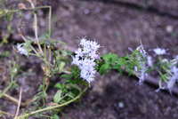 https://images.plurk.com/4wzN9yn5fqXRTVx5hqPsY7.jpg