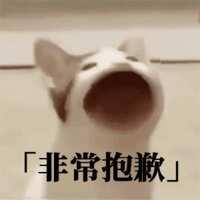 https://images.plurk.com/4x1BteKXMmxmiL9Sj3GQNK.gif