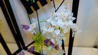 https://images.plurk.com/4x3MfMglW90RhUTBjhuILi.jpg