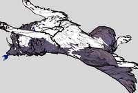https://images.plurk.com/4x4o9x8gYRS9aq11NhEQqq.jpg