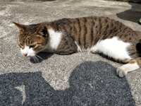 https://images.plurk.com/4x9SnztuejLnNHl1fHjUul.jpg