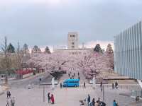https://images.plurk.com/4x9ekyazbCn94Kzrppy2iu.jpg