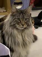 https://images.plurk.com/4xETe3kS9iwCAz69PXaiXe.jpg